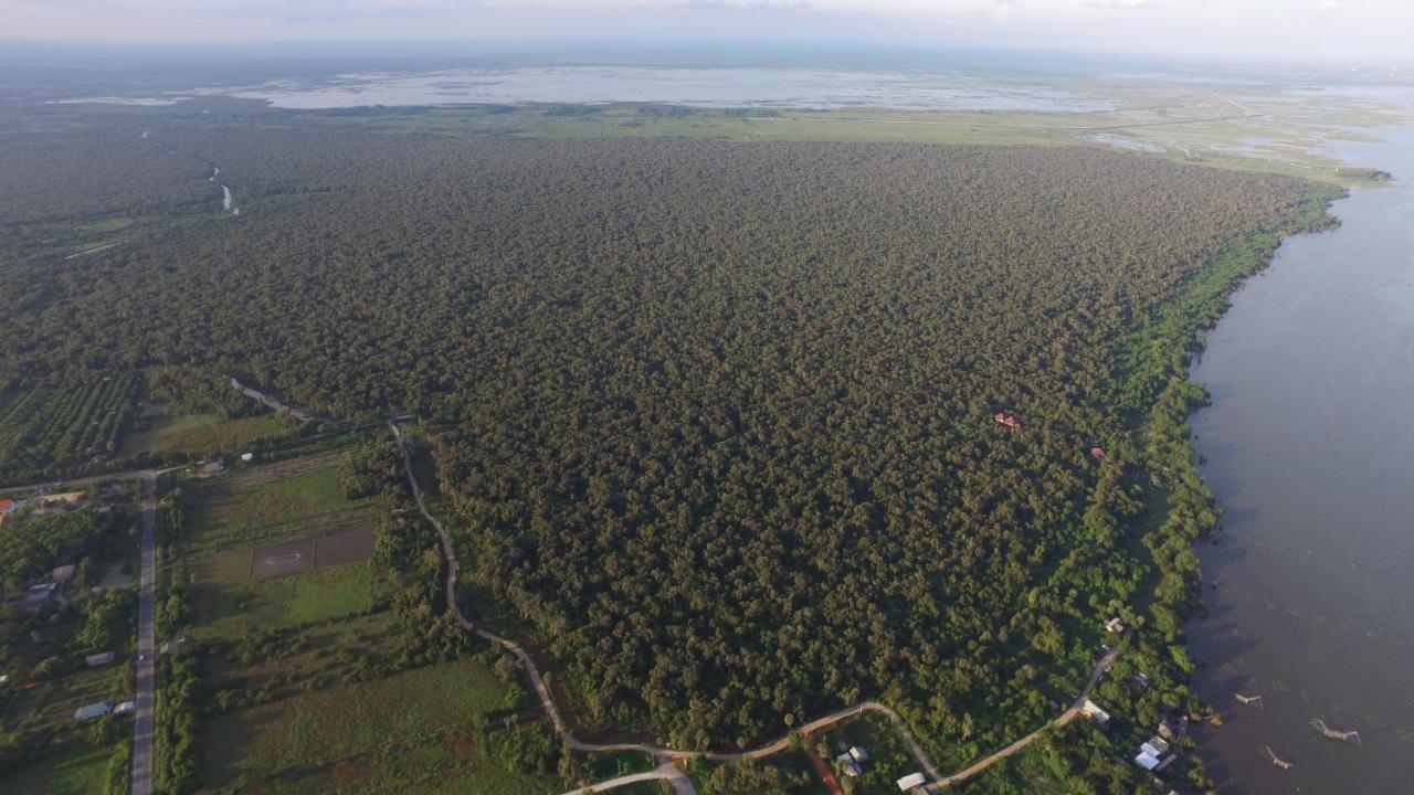Wetlandcamp บ้านชายเล Phatthalung Dış mekan fotoğraf